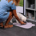 Alfombra para cuenco de comida de mascotas con patas de gato | BronPets©,alfombra mascotas, alfombra para perros, alfombra perro, alfombra para mascotas, alfombra anti gatos, alfombras perros, alfombras resistentes a gatos, alfombras compatibles con mascotas, alfombra anti pelos perro, alfombras gatos