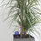 Dispensador,de,agua,para,plantas,con,mini,goteo,Juego,de,2Uds,regar,plantas, regar,petunias, jardinería, regar,plantas,de,exterior, plantas,con,flores, jardinero, sistema,de,riego, plantas,casa,