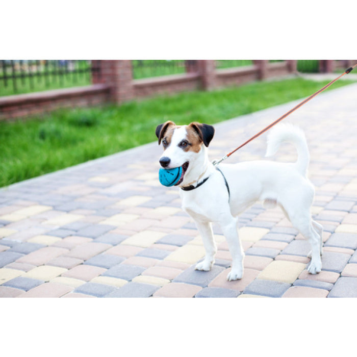 Pet Treatment ED-41661: Correa retráctil para perros que brilla en la oscuridad - 3,5 m, amarilla - Bronmart